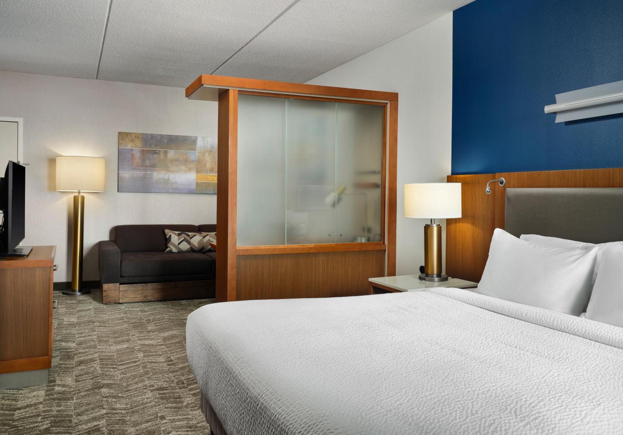 Springhill Suites By Marriott Pittsburgh Mt. Lebanon מראה חיצוני תמונה